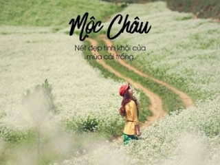 Hà Nội - Mộc Châu 2 Ngày 1 Đêm